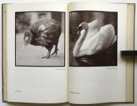 DAS SCHÖNE TIER（独文写真集・美しい動物）