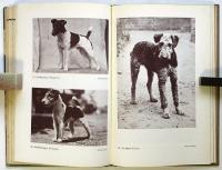 HUNDERASSEN RASSENHUNDE（独文写真集・犬種 純血種の犬）