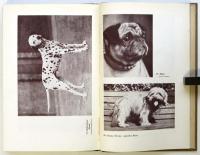 HUNDERASSEN RASSENHUNDE（独文写真集・犬種 純血種の犬）