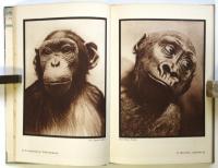 DAS GESICHT DES TIERES（独文写真集・動物の顔）