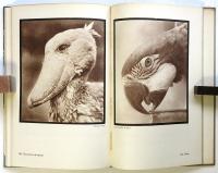 DAS GESICHT DES TIERES（独文写真集・動物の顔）