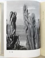 詩集 遺書　写真：小石清・衣笠貞之助