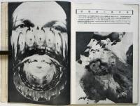 フォトタイムス　第17巻第2号　大陸特輯号