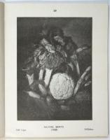 GERMAINE KRULL　Photographes nouveaux