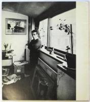 domingo notaro