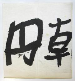 圓朝祭番組