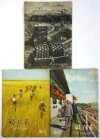 旅行家 Lüxingjia　10冊