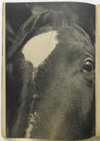 心耳氣眼（馬事写真集）