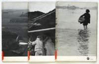 水害と日本人/やきものの町-瀬戸/塩の話　東松照明担当岩波写真文庫3冊
