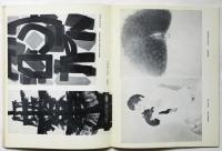 Contemporary Japanese Art