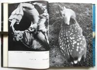 アサヒカメラ年鑑 1956