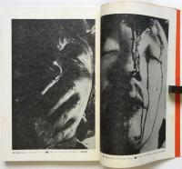 デザイン批評　季刊第6号　特集＝万博と安保・EXPOSE・1968全記録収録