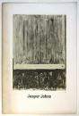 Jasper Johns ジャスパー・ジョーンズ展図録