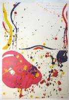 黄よ。おまえはなぜ　サム・フランシス展 詩画集