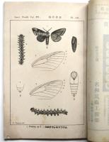 昆蟲世界　第15巻第10冊 第170号