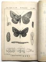 昆蟲世界　第15巻第12冊 第172号