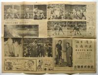 サン写真新聞　第2029号　白井フライ級世界選手権を獲得