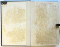 エミール・ラスク 哲学の論理学並びに範疇論　