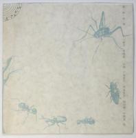 中嶋夏舞踏会　エチュード 風・草・砂・血・虫　リーフレット