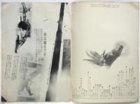 プウルブ POUR VOUS No.15