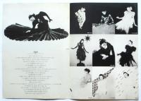 Serge Lutens セルジュ・ルタンス NOIR リーフレット