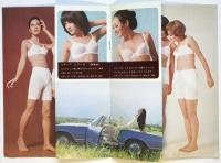 トリンプ　リーフレット　2種