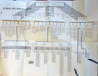 American Policy in Occuied Areas