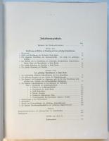 Das zukünftige Schnellbahnnetz für Groß Berlin（大ベルリン 将来の高速輸送網）