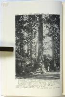 日光杉並木街道保存の国際的意義