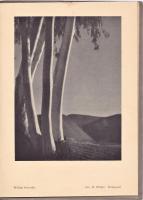 CATALOGUE OF THE FIRST INTERNATIONAL TOKYO SALON OF PHOTOGRAPHY 1935　
（第一回萬国写真展覧会）