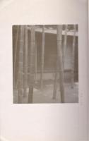 井魚洞写真帖（仮題）