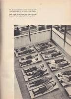 英文写真集　CHILDREN of JAPAN