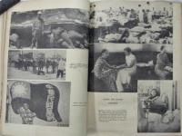 SHANGHAI UNDER FIRE  　英文報道写真集・砲火の上海
