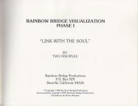 ”RAINBOW BRIDGE" VISUALIZATION