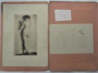 芸術資料写真集　Die Photographische Sammlung der Kunst-stoffe　1・2・3・4・6