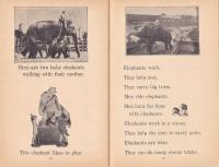 CIRCUS （英文写真入絵本）　Unit Study Book No.108
