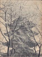 LE JAPON  -entre la tradition et l'avenir-
