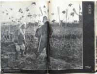 毎日グラフ　臨時増刊　戦後ニッポン〈サン写真新聞の記録〉
