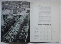 TEIKOKU RAYON co.-the outline of TEIJIN- （英文・帝人会社概要）