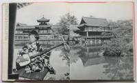 NORIKO-Her Life in JAPAN- (写真絵本ノリコ）