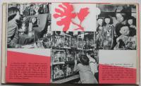 NORIKO-Her Life in JAPAN- (写真絵本ノリコ）