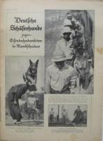 ベルリン絵入新聞　Berliner Illustrirte Zeitung　日本関係記事掲載号　5冊
