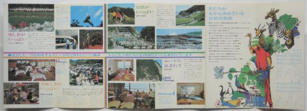 行川アイランド（案内） / 古本、中古本、古書籍の通販は「日本の
