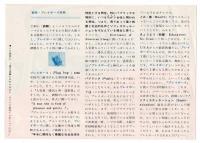 週刊プレイボーイ　創刊宣伝チラシ