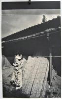 「鎌鼬」内容見本