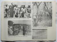 (西）キューバ革命写真史（写真でたどるキューバ革命）　写真壁新聞
