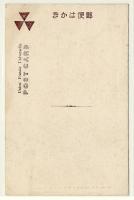 同志社大学 神学館 理科学館　絵葉書