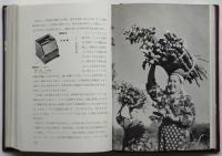 私の写真術
