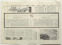 荒井屋「牛うどん」　チラシ