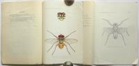 (英)双翅目 昆虫学レポート No.5/No.6/No.10　3冊 (The Journal of the Shanghai Science Institute抜刷Section3,Vol.4)